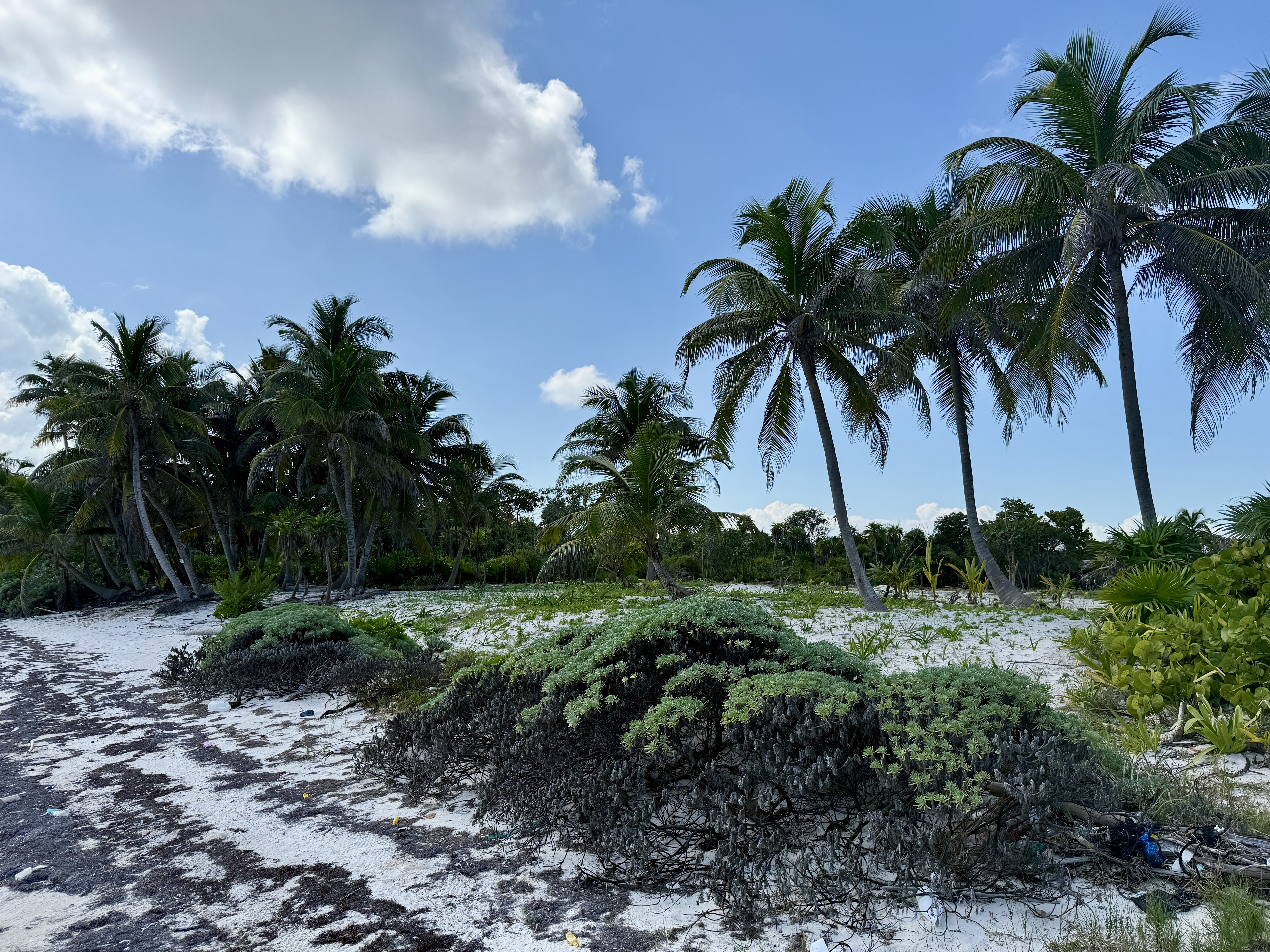 14 Miles North San Pedro Town Ambergris Caye
