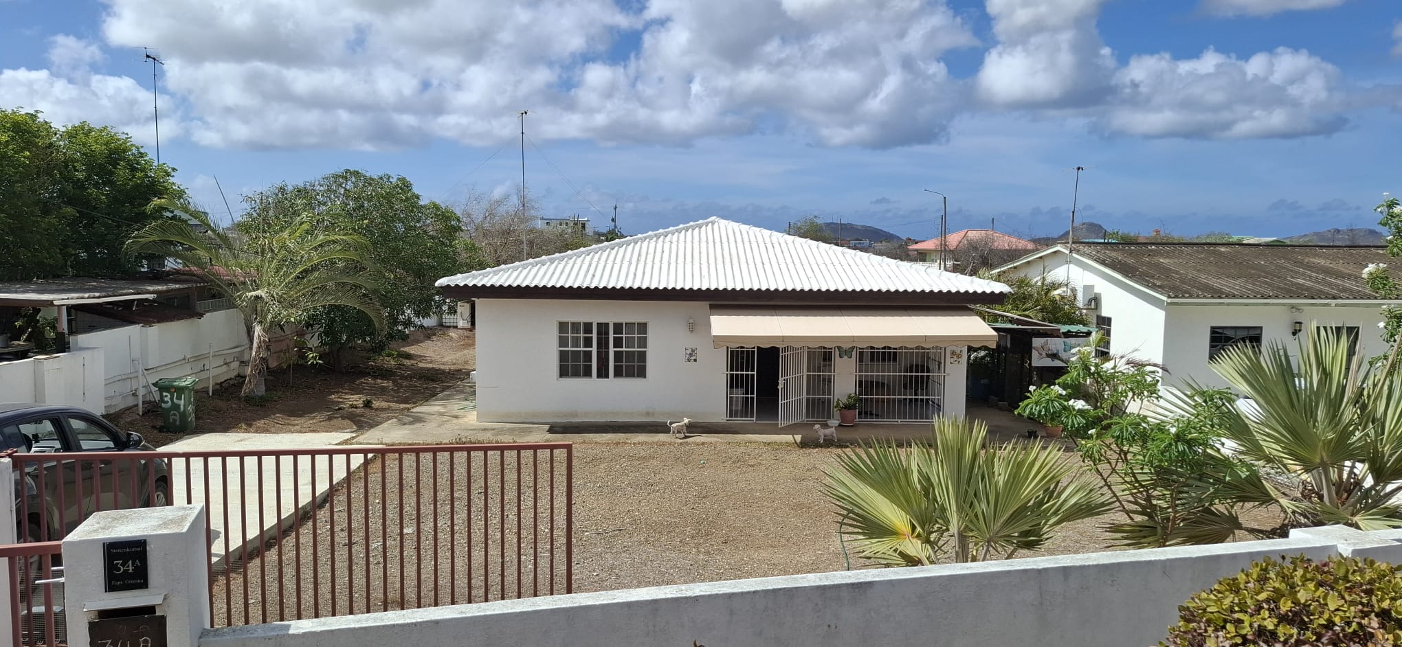 Stenen Koraal H Willemstad Curaçao