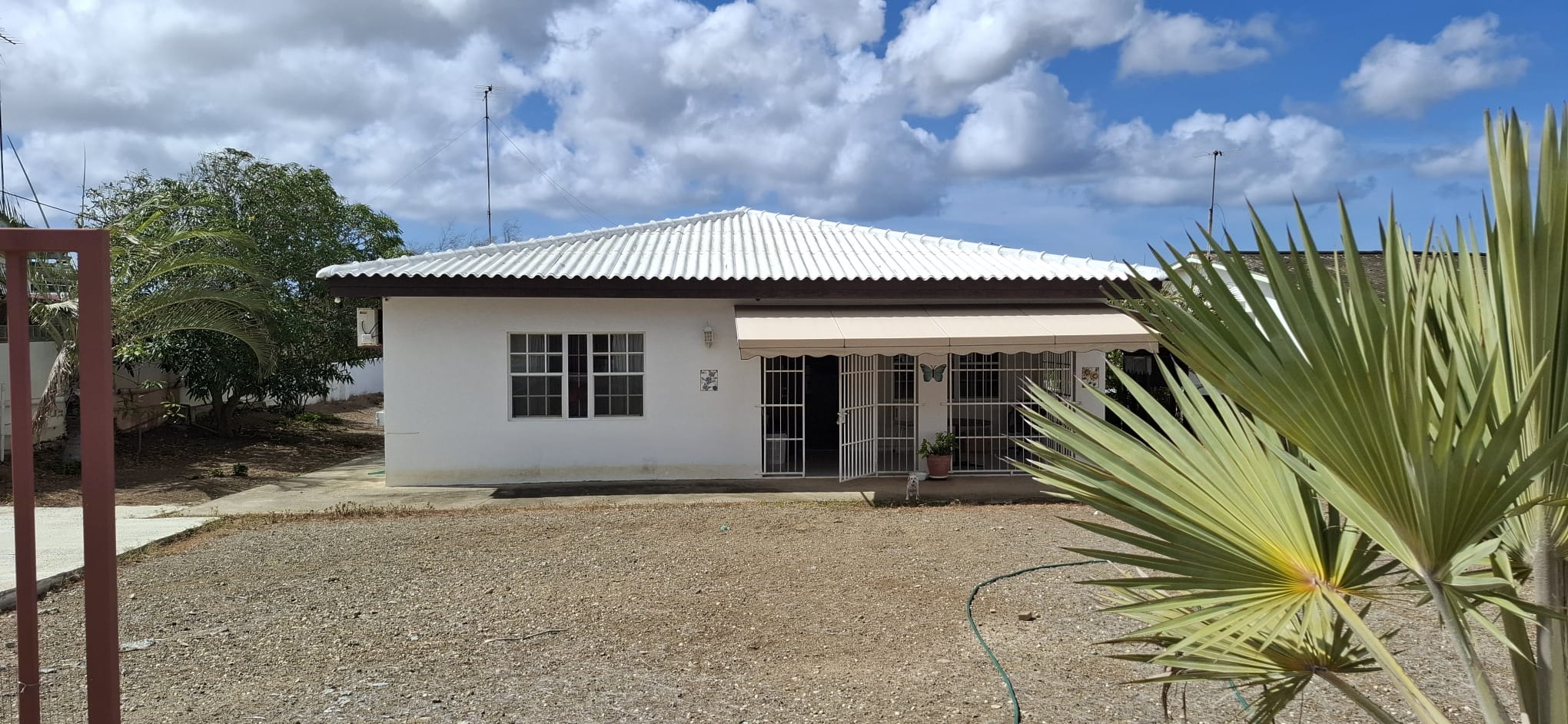 Stenen Koraal H Willemstad Curaçao