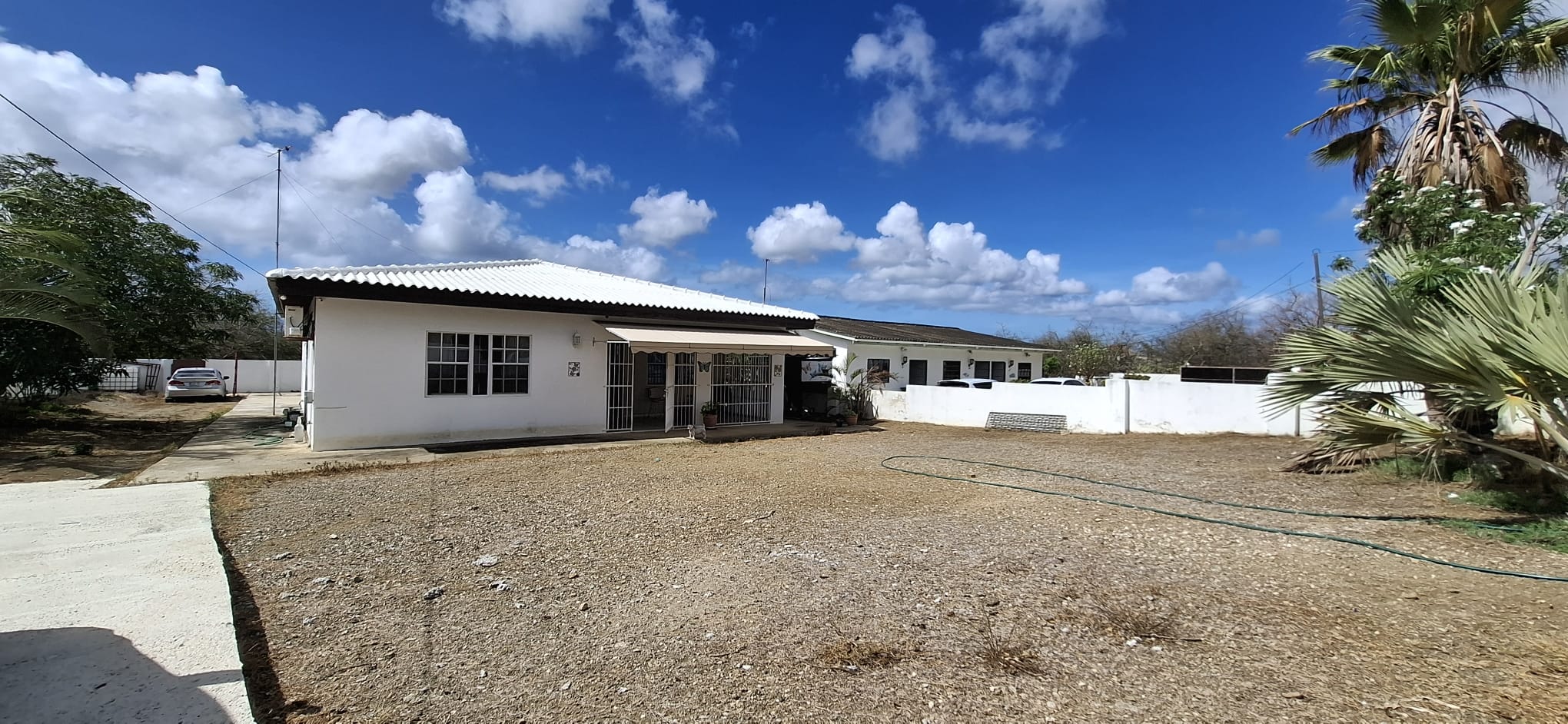 Stenen Koraal H Willemstad Curaçao