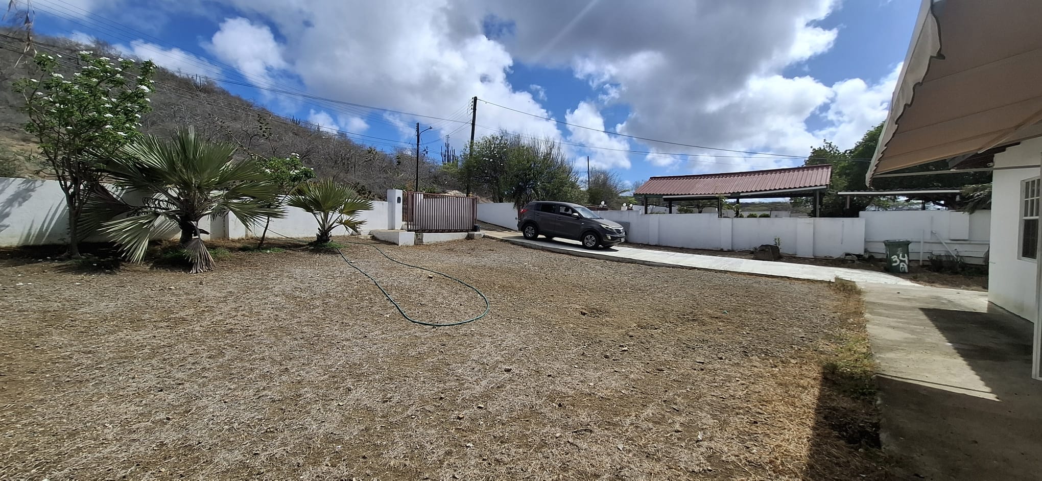 Stenen Koraal H Willemstad Curaçao