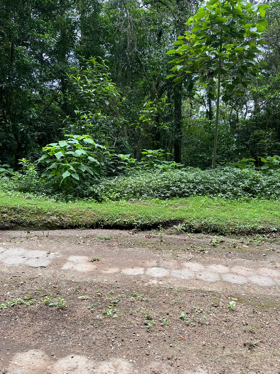 Terreno en Venta – Granjas Jardín El Alto, Santiago Sacatepéquez - Image 2
