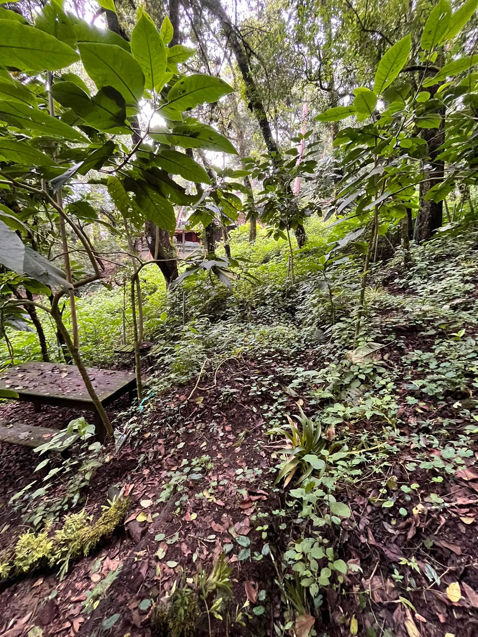 Terreno en Venta – Granjas Jardín El Alto, Santiago Sacatepéquez - Image 4