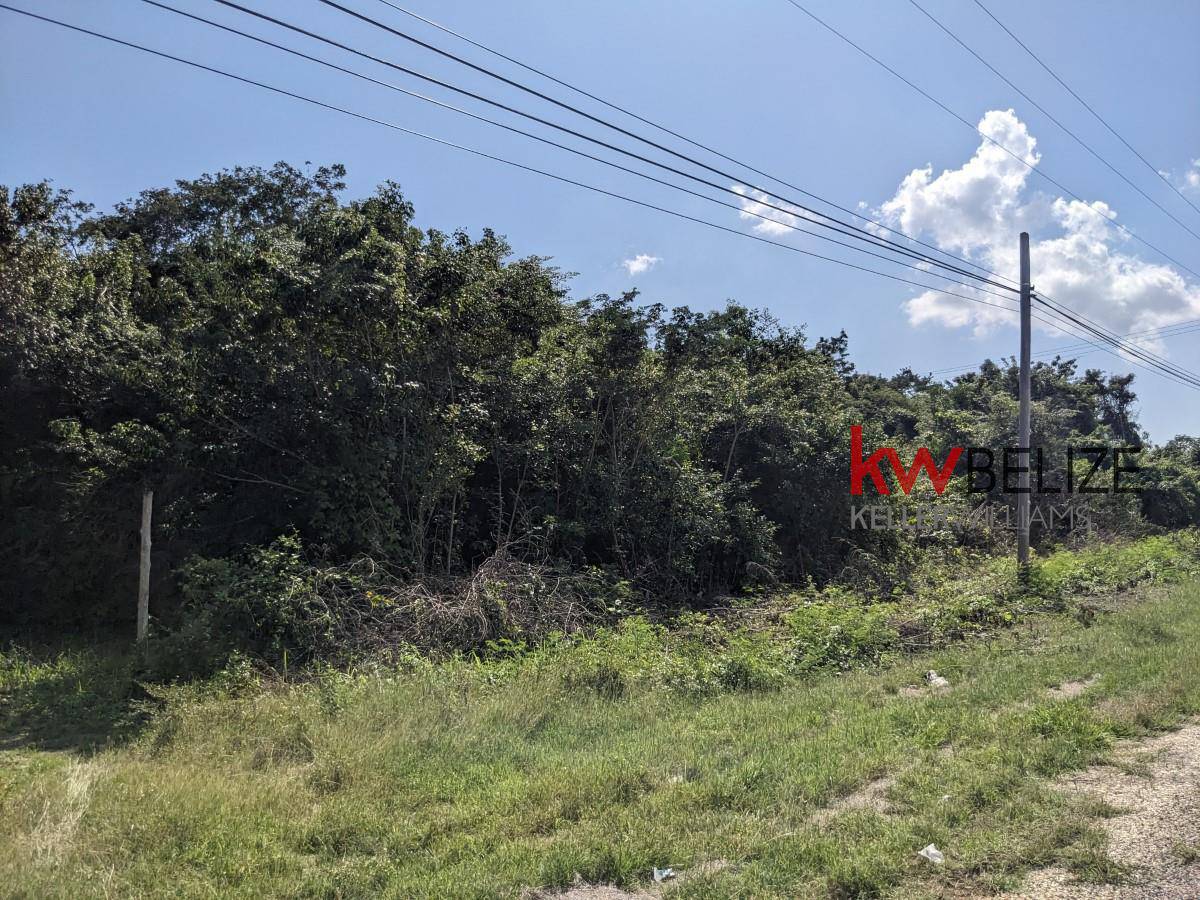 #Lagoon Front Property on Northern Highway Corozal Corozal Corozal District