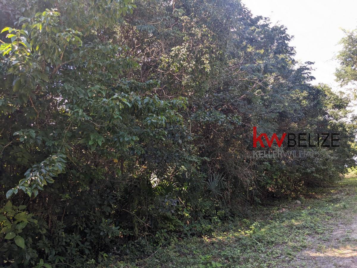 #Lagoon Front Property on Northern Highway Corozal Corozal Corozal District