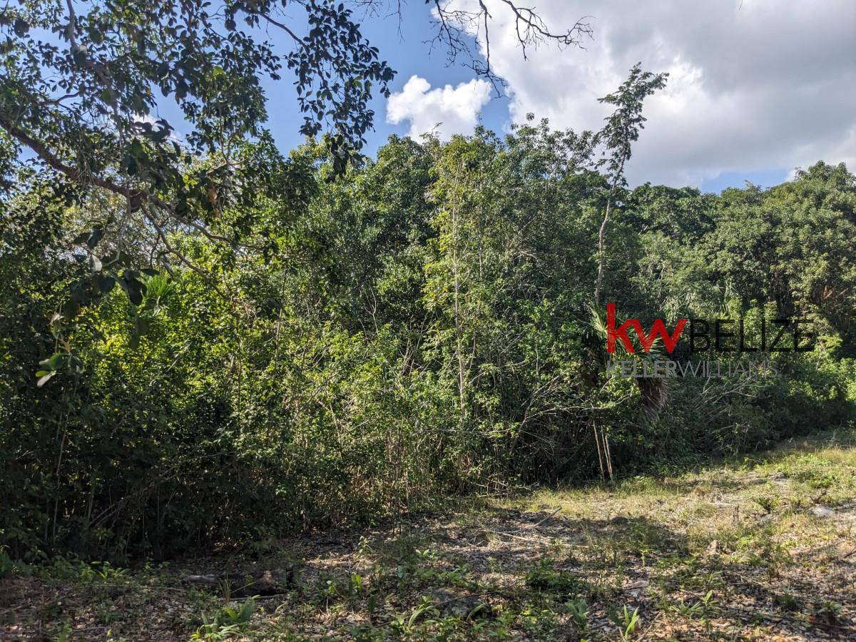 #Lagoon Front Property on Northern Highway Corozal Corozal Corozal District