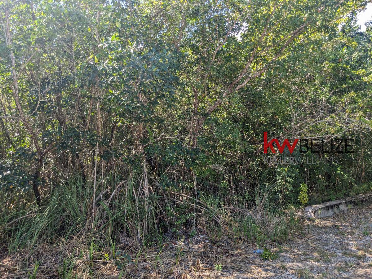 #Lagoon Front Property on Northern Highway Corozal Corozal Corozal District