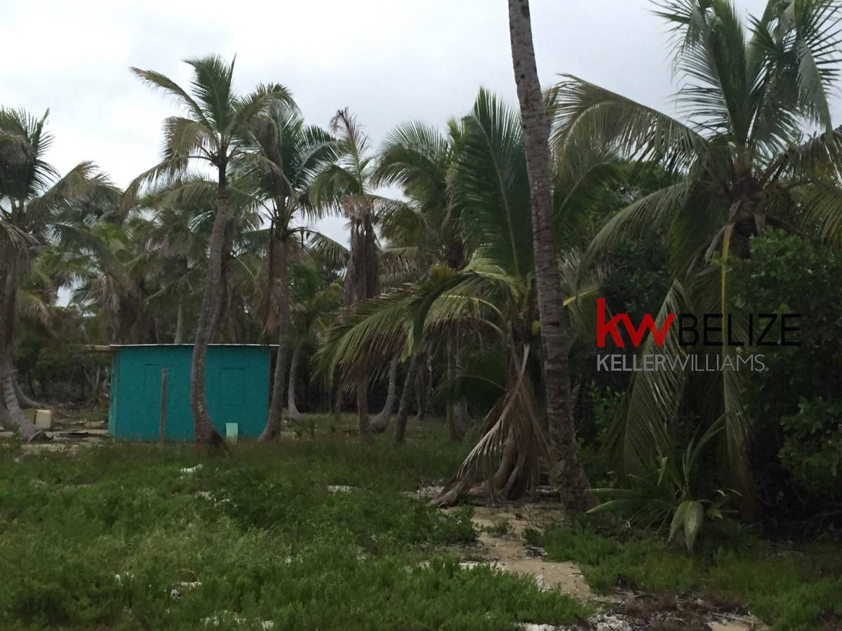Belize Two Lots on Monkeyman Caye-Turneffe Atoll Monkeyman Caye - Turneffe Atoll Belize District