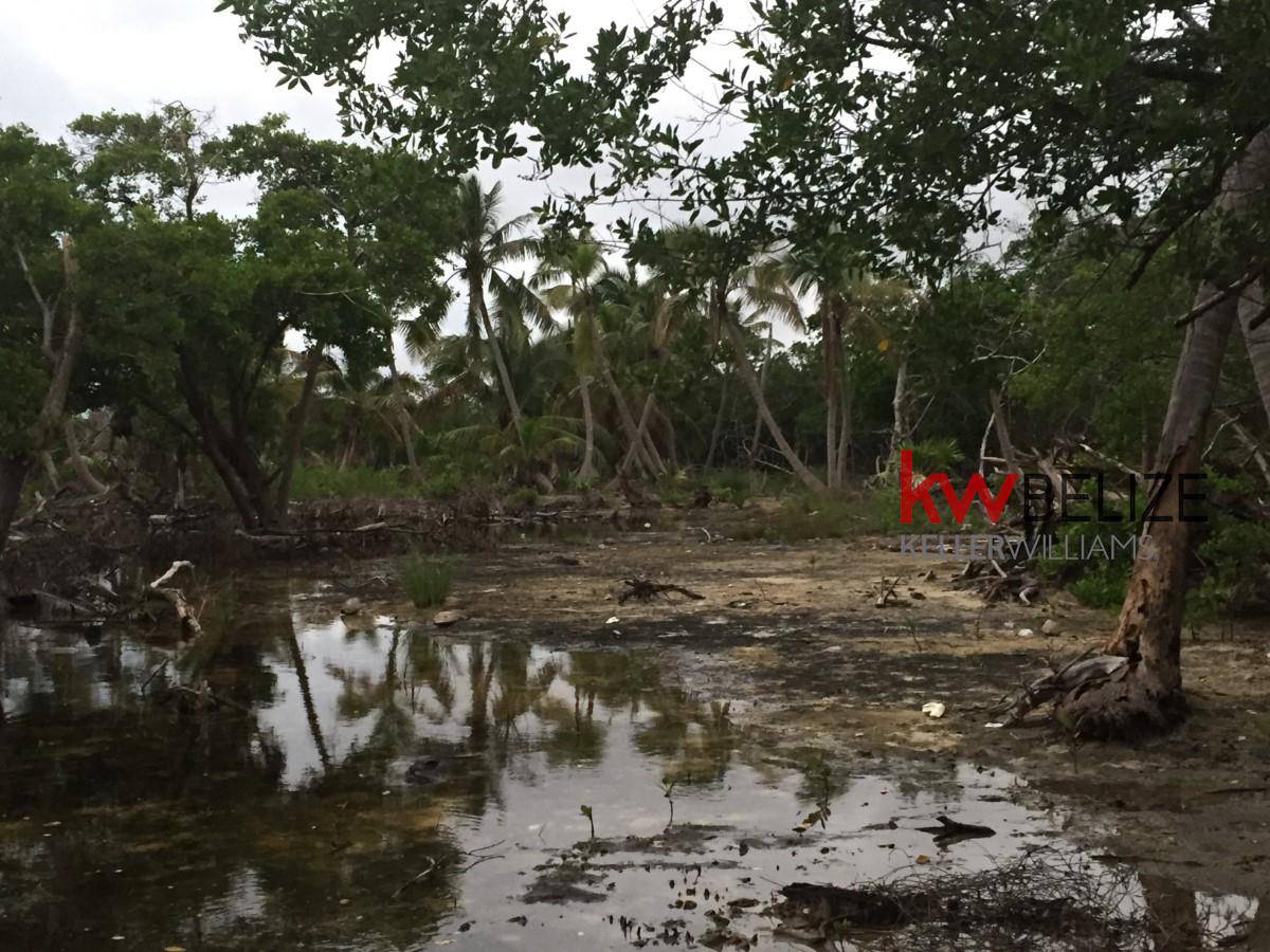 Belize Two Lots on Monkeyman Caye-Turneffe Atoll Monkeyman Caye - Turneffe Atoll Belize District