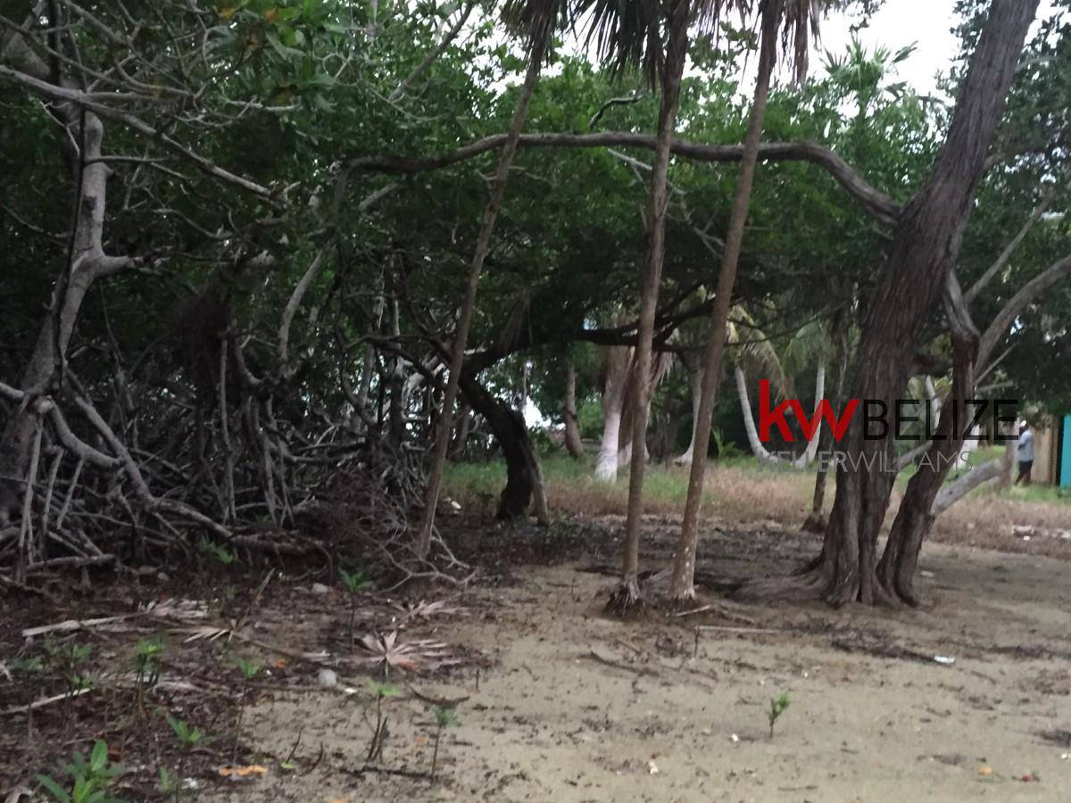 Belize Two Lots on Monkeyman Caye-Turneffe Atoll Monkeyman Caye - Turneffe Atoll Belize District