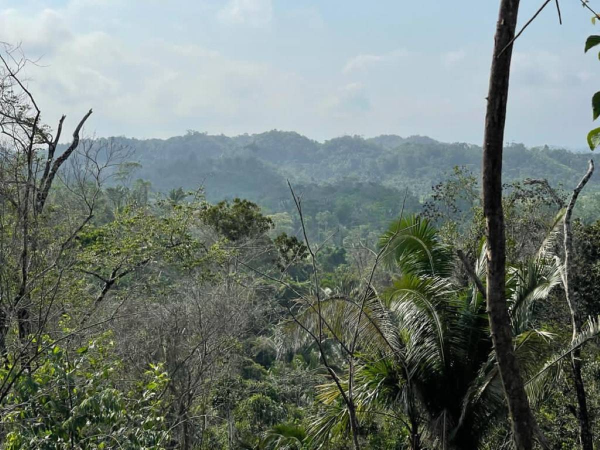 #56VG+66F Belmopan, Belize Belmopan Cayo District