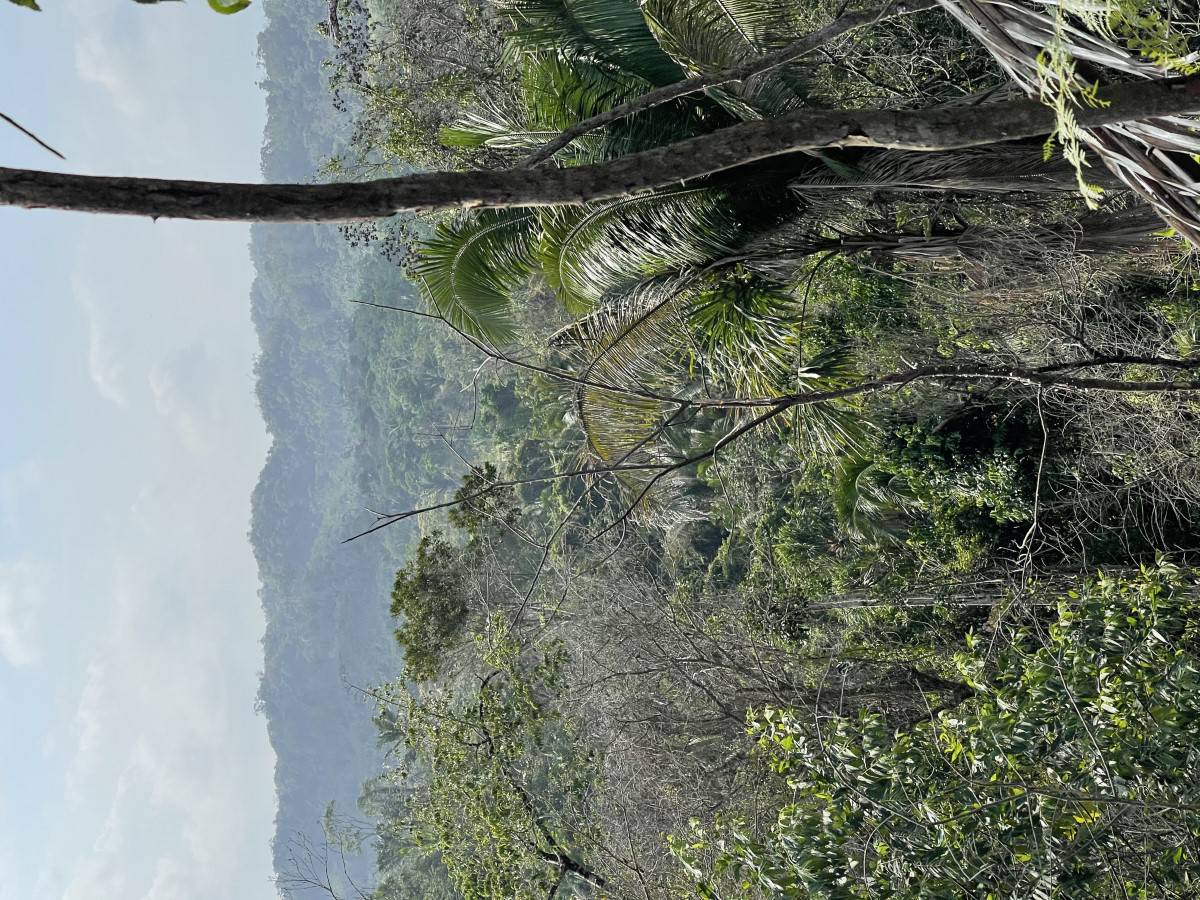 #56VG+66F Belmopan, Belize Belmopan Cayo District