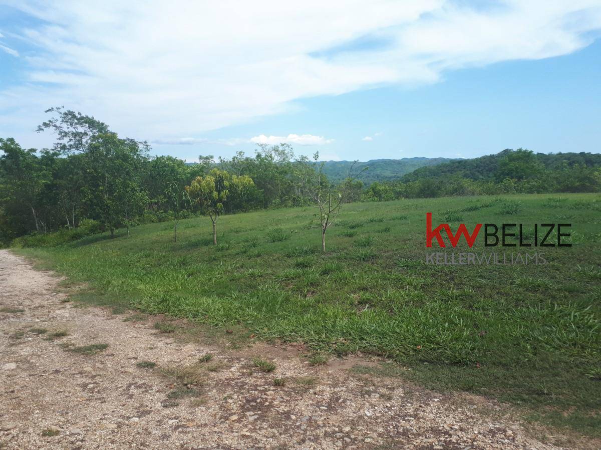 #Mountain Lots For Sale With Stunning Views Santa Elena Cayo District