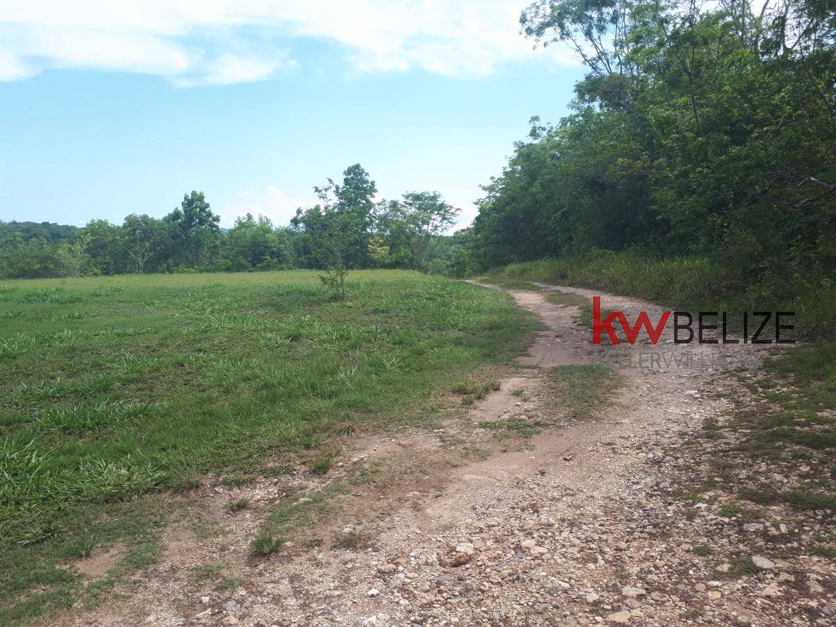 #Mountain Lots For Sale With Stunning Views Santa Elena Cayo District