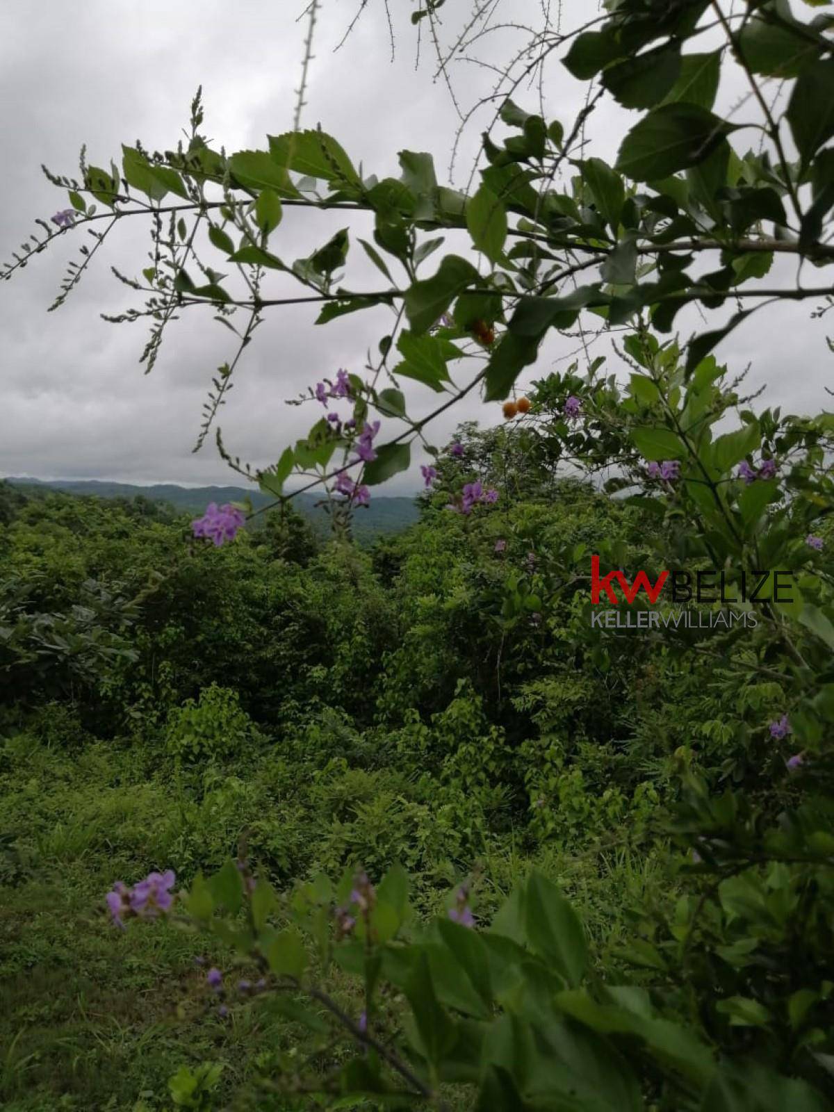 #Mountain Lots For Sale With Stunning Views Santa Elena Cayo District