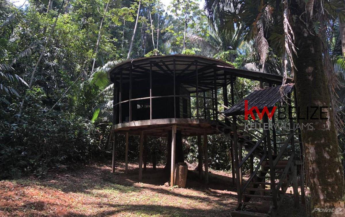 #Belize Lost World Jungle Resort Hummingbird Highway Hummingbird Highway Stann Creek District