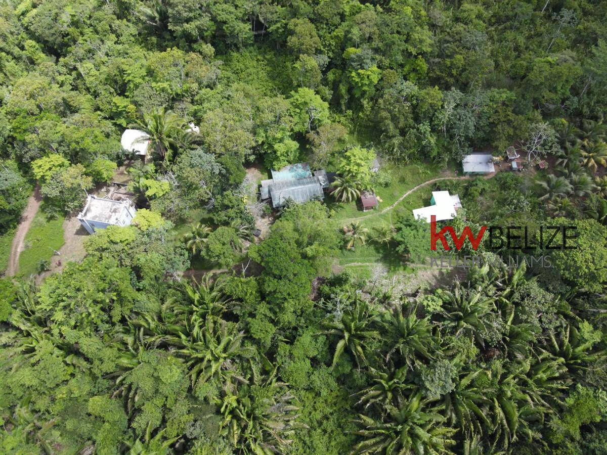 #Belize Lost World Jungle Resort Hummingbird Highway Hummingbird Highway Stann Creek District