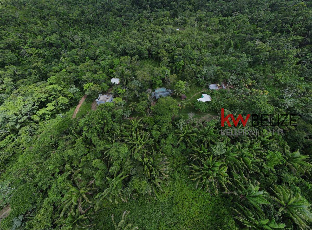 #Belize Lost World Jungle Resort Hummingbird Highway Hummingbird Highway Stann Creek District