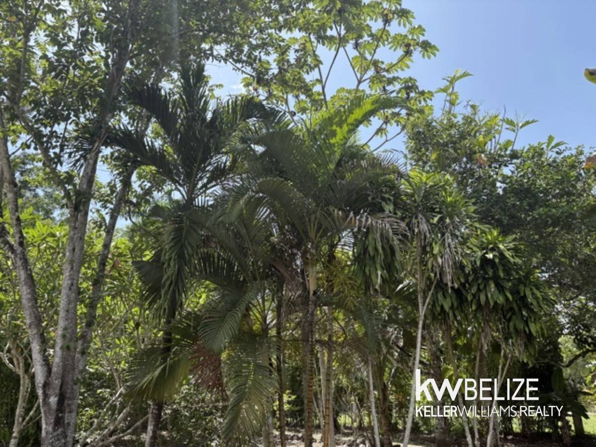 #Resort Development Opportunity Near Belmopan Belmopan Cayo District