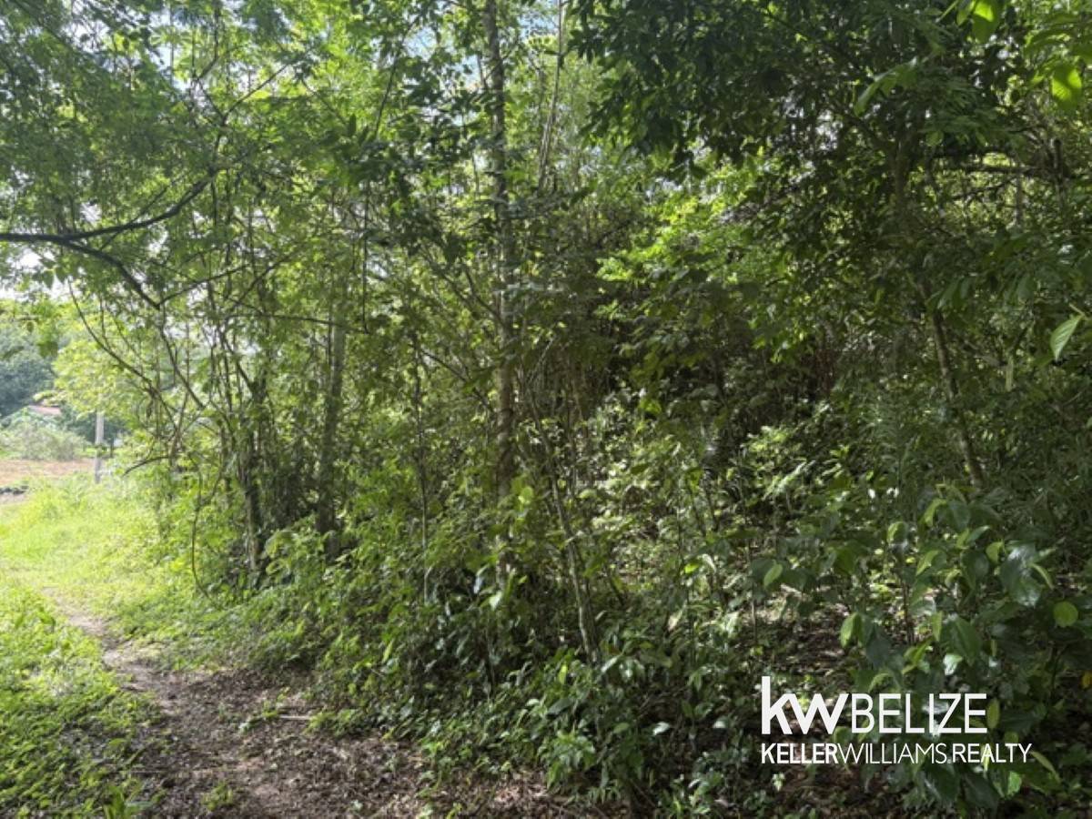 #Your Own Riverfront Paradise in Belize Cristo Rey Cayo District