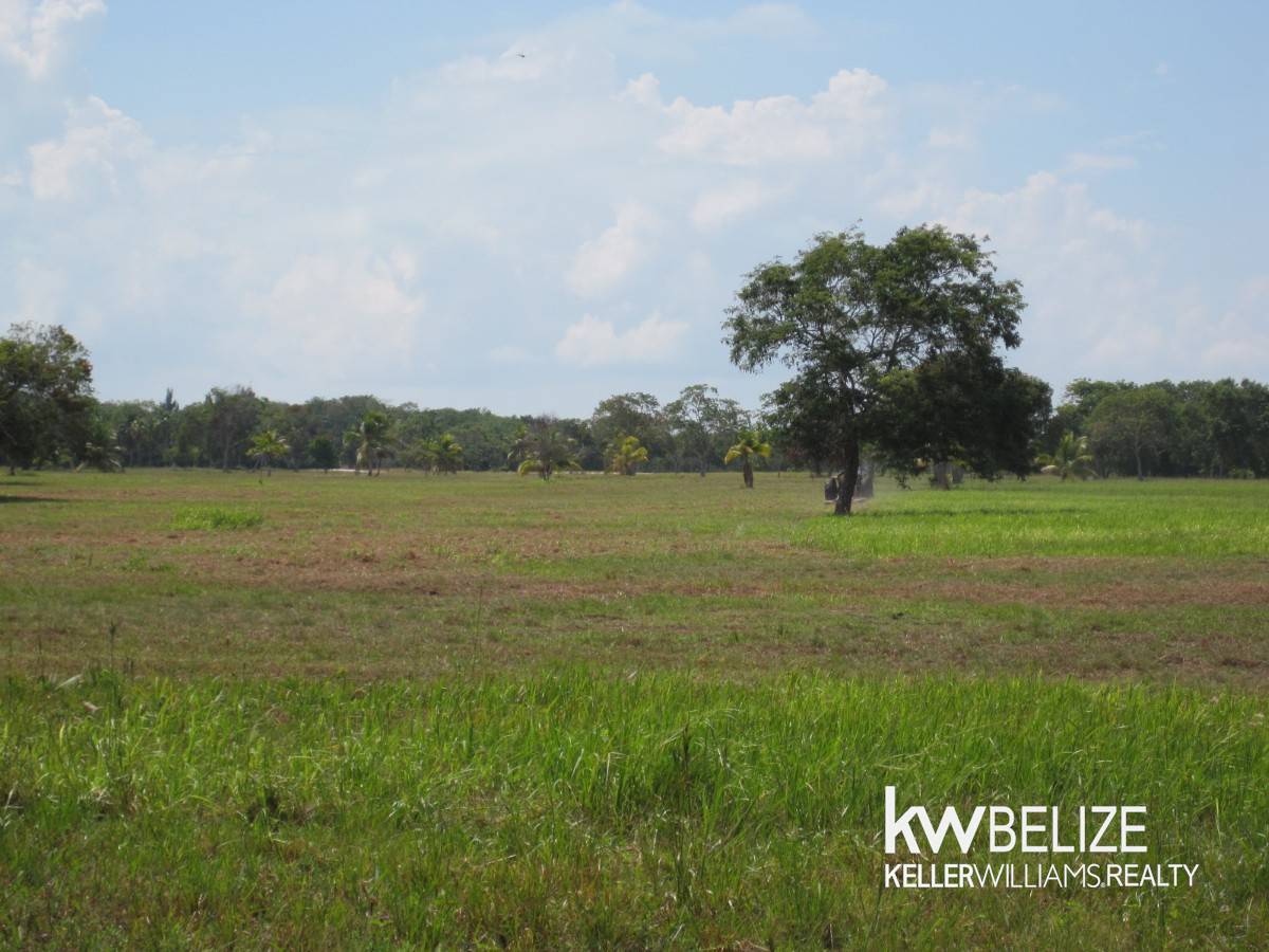 Corozal District Corozal Bay #Corozal Belize Waterfront Development Opportunity 