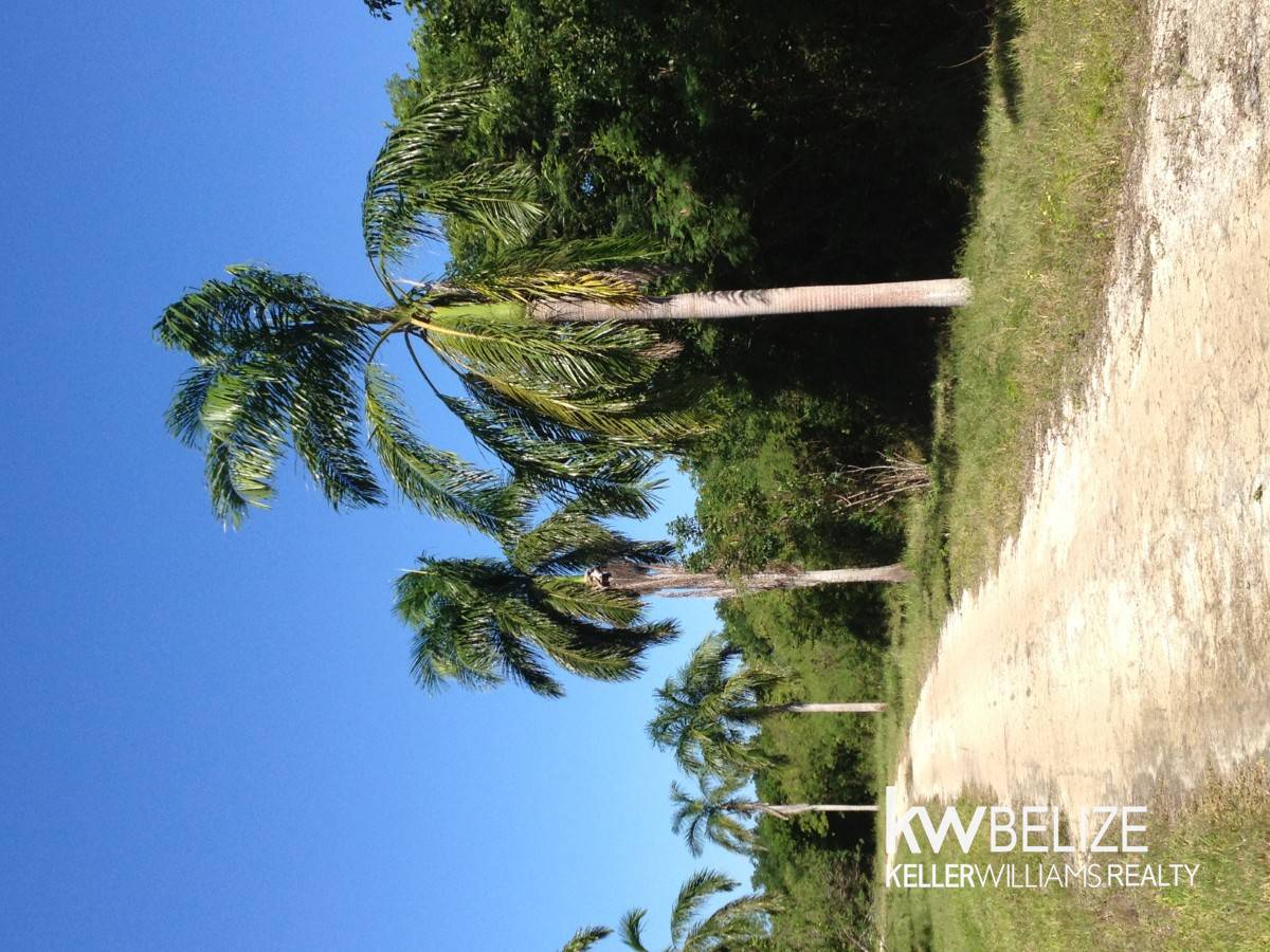 Corozal District Corozal Bay #Corozal Belize Waterfront Development Opportunity 