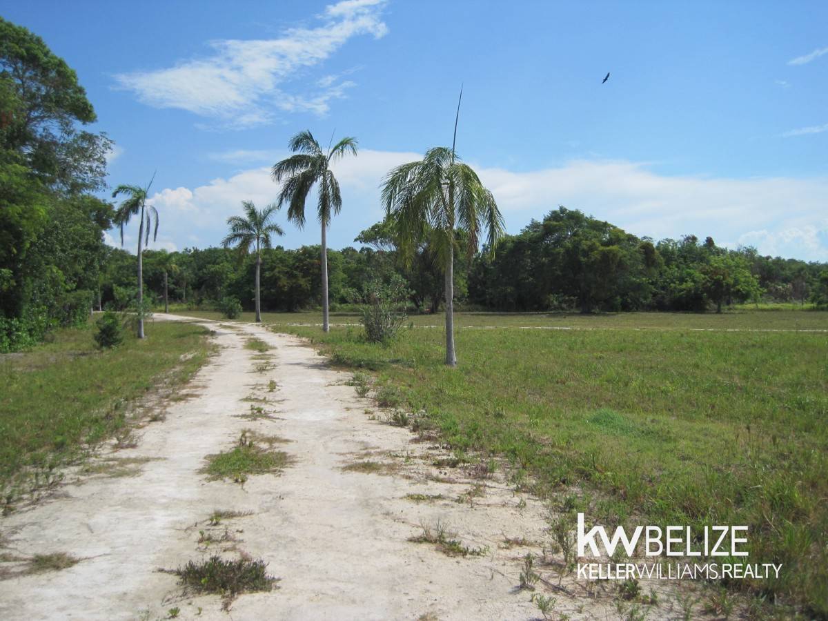 Corozal District Corozal Bay #Corozal Belize Waterfront Development Opportunity 