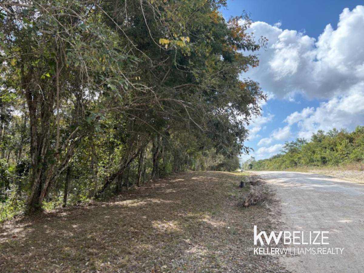 #25-Acre Teak and Mahogany Tree Farm Buena Vista Cayo District