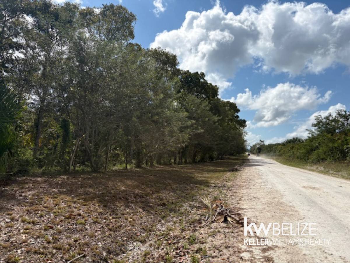 #25-Acre Teak and Mahogany Tree Farm Buena Vista Cayo District