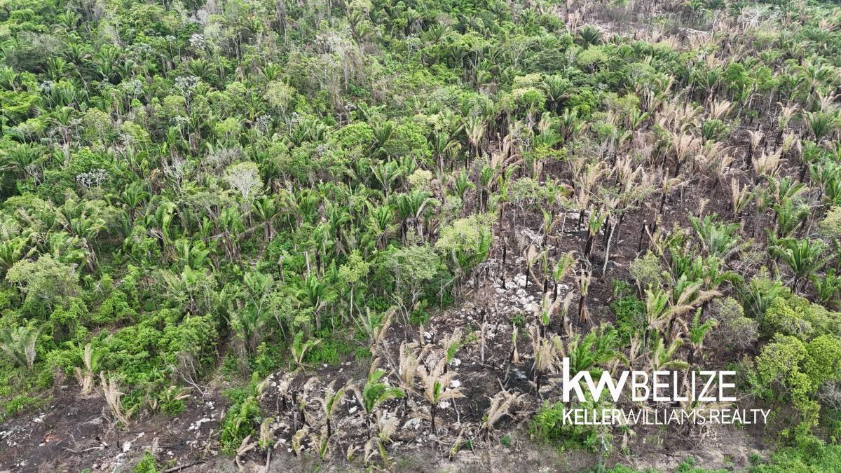 47W9+J85 Armenia, Belize Armenia Cayo District