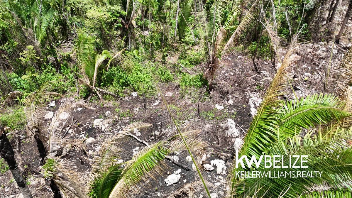 47W9+J85 Armenia, Belize Armenia Cayo District