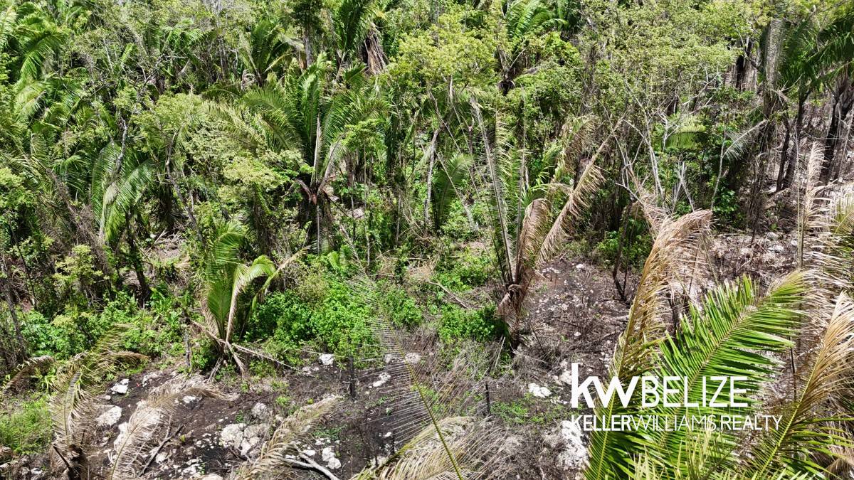 47W9+J85 Armenia, Belize Armenia Cayo District