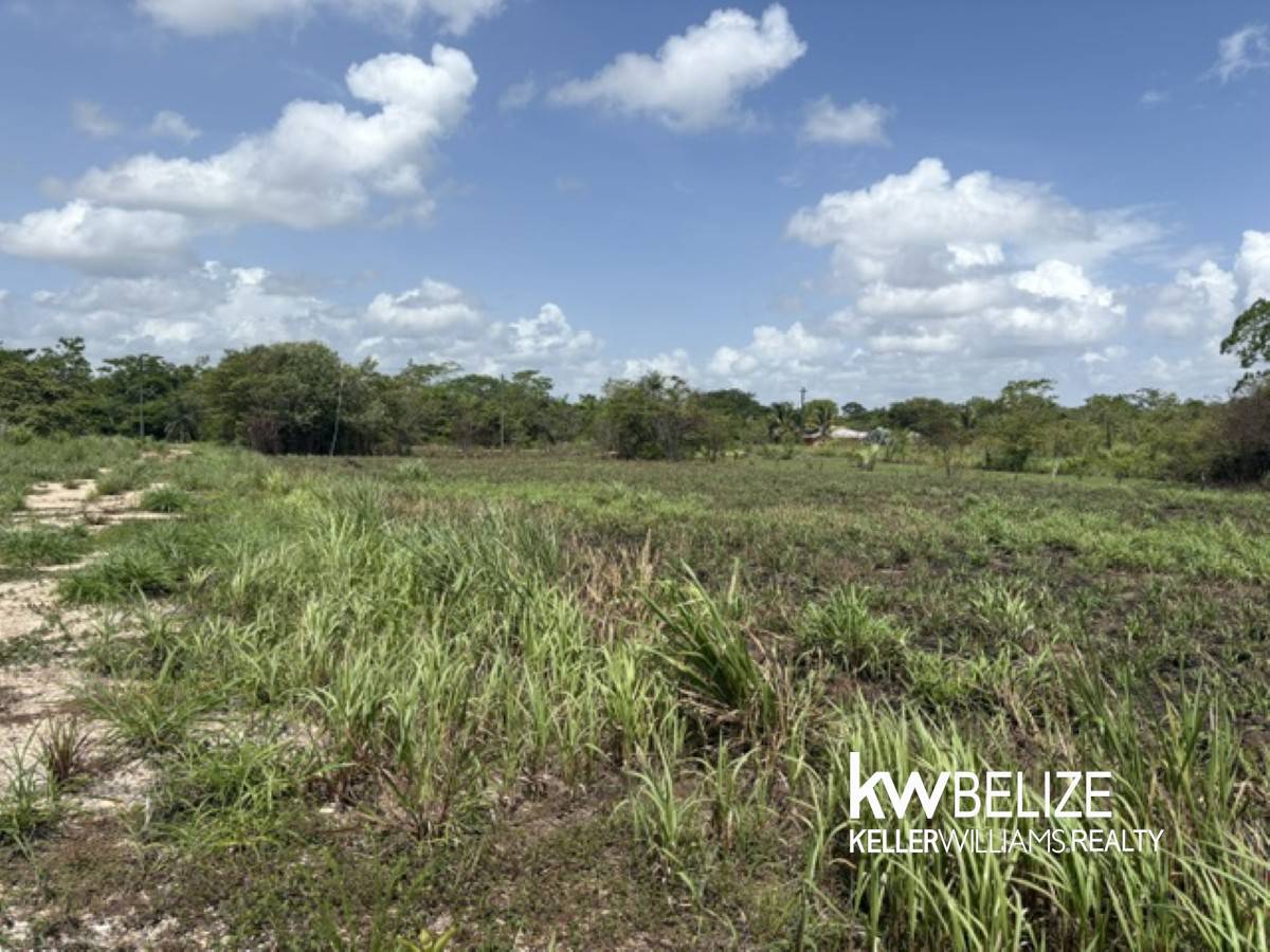 #21 Residential Lots for Sale Near Belmopan Belmopan Cayo District