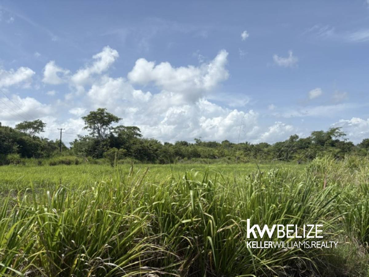 #21 Residential Lots for Sale Near Belmopan Belmopan Cayo District