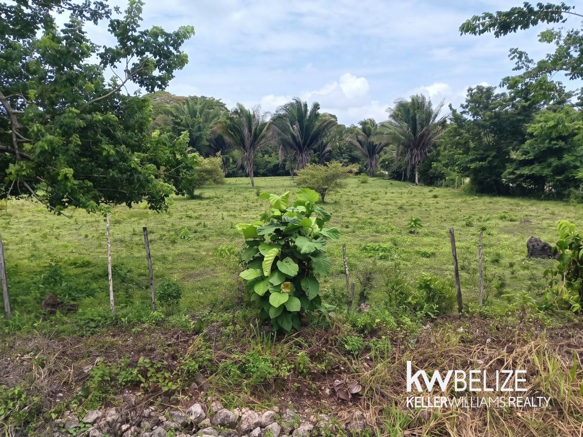 #Prime Corner Parcel in Teakettle Village Teakettle Village Cayo District