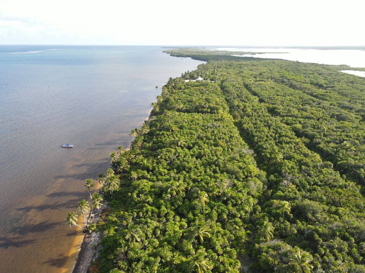 #Belize Beachfront Lot Palm Bay Club Ambergris Caye San Pedro - Ambergris Caye Belize District
