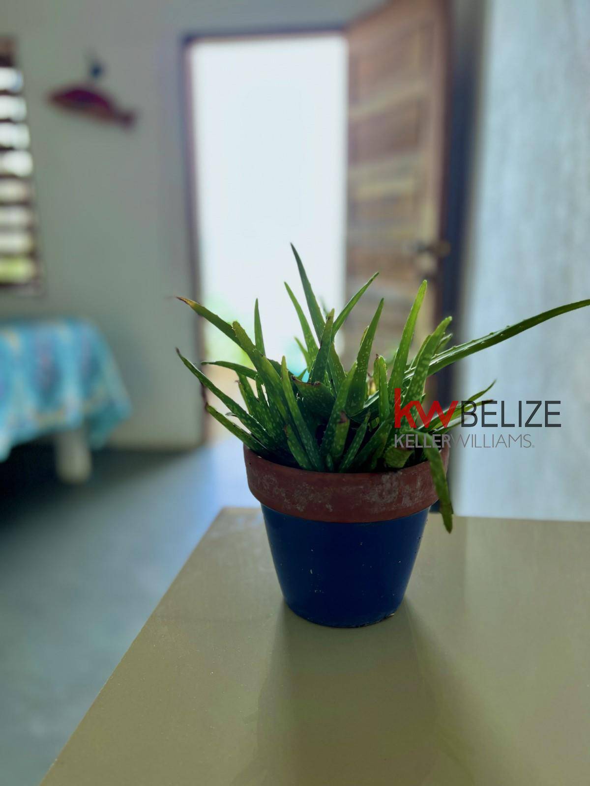 #Belize Seafront Property in Punta Gorda Punta Gorda Toledo District