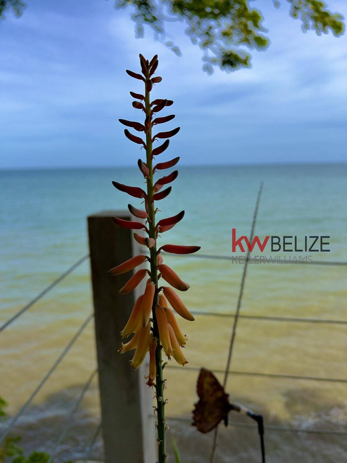 #Belize Seafront Property in Punta Gorda Punta Gorda Toledo District