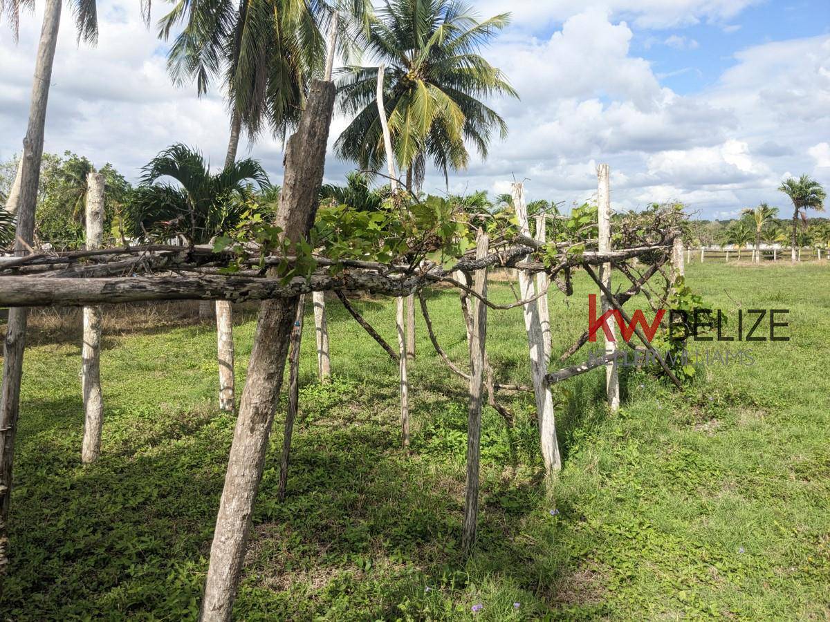 Stunning Property with 2000 Feet Lake Frontage Orange Walk Town Orange Walk District