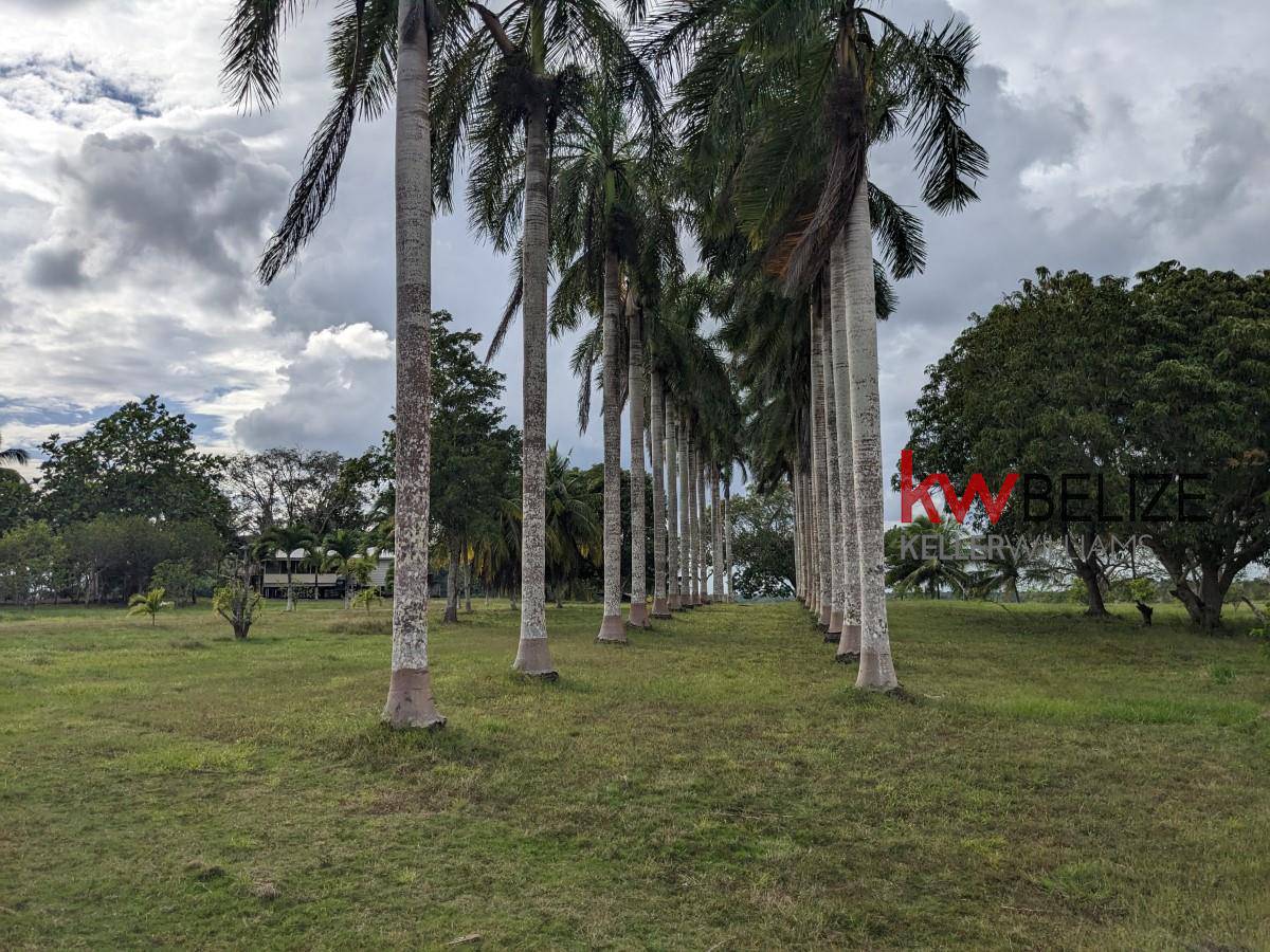 Stunning Property with 2000 Feet Lake Frontage Orange Walk Town Orange Walk District