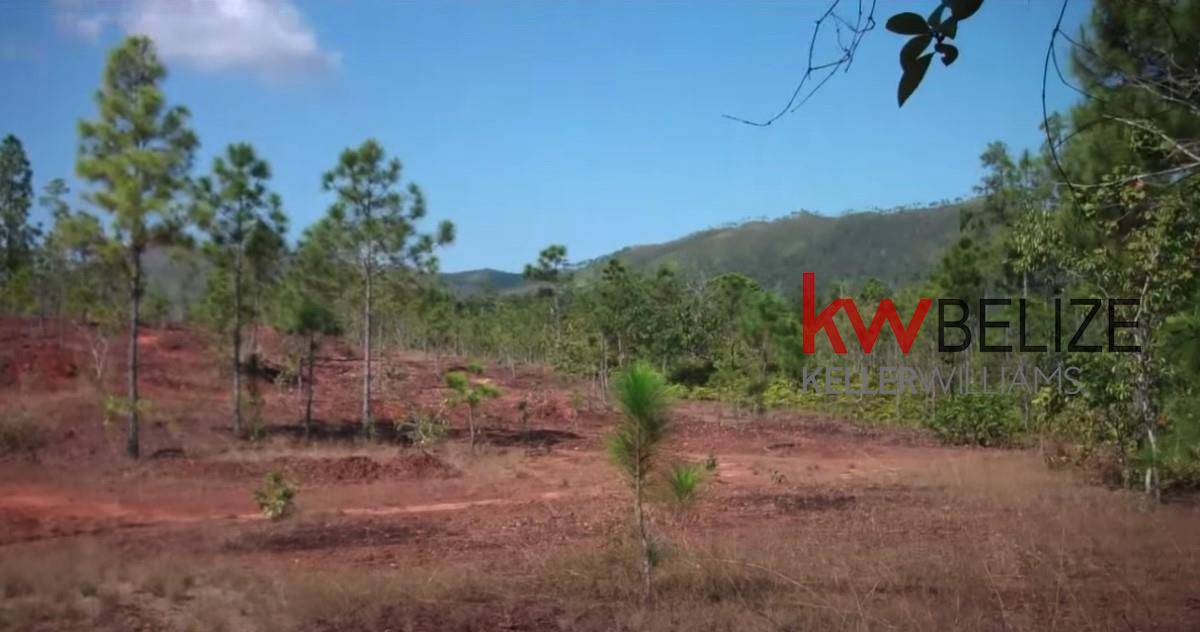 #Wildlife Corridor 160 Acres Southern Highway Stann Creek District