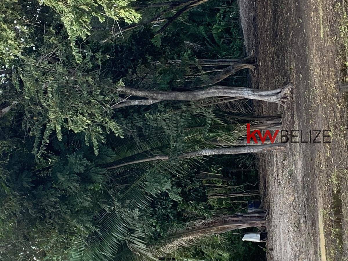 #Stunning Property with 1500 Feet of Riverfront Belize City Belize District