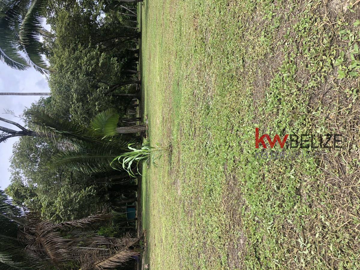 #Stunning Property with 1500 Feet of Riverfront Belize City Belize District