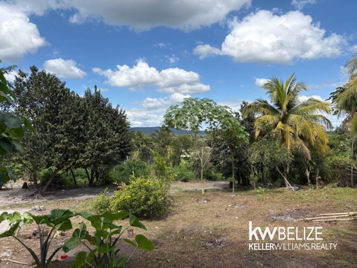 #Land for Sale in Bullet Tree Village Bullet Tree Village Cayo District