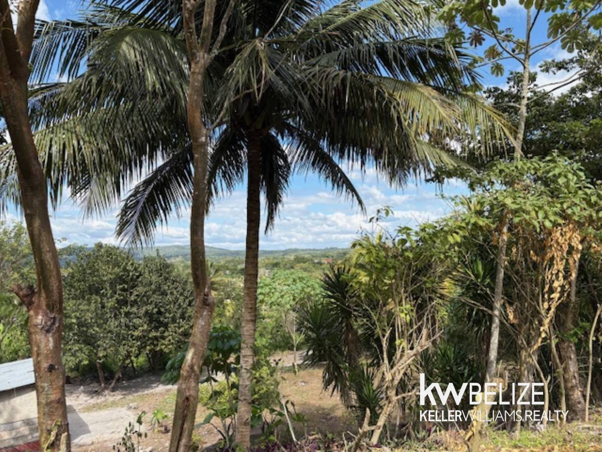 #Land for Sale in Bullet Tree Village Bullet Tree Village Cayo District