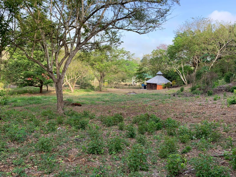 #Gaia's Way Estate Lot No. 6 Bullet Tree Cayo District