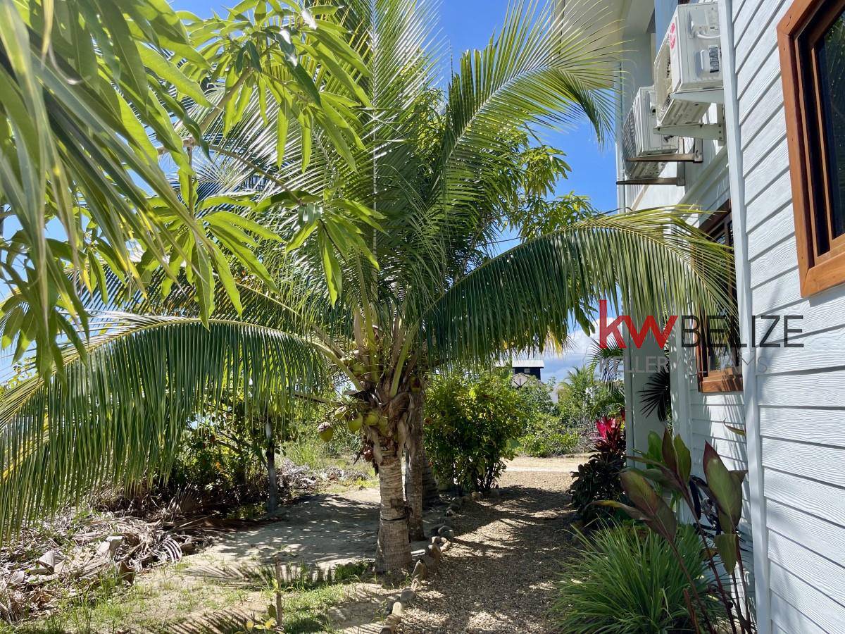Placencia Road Placencia Stann Creek District