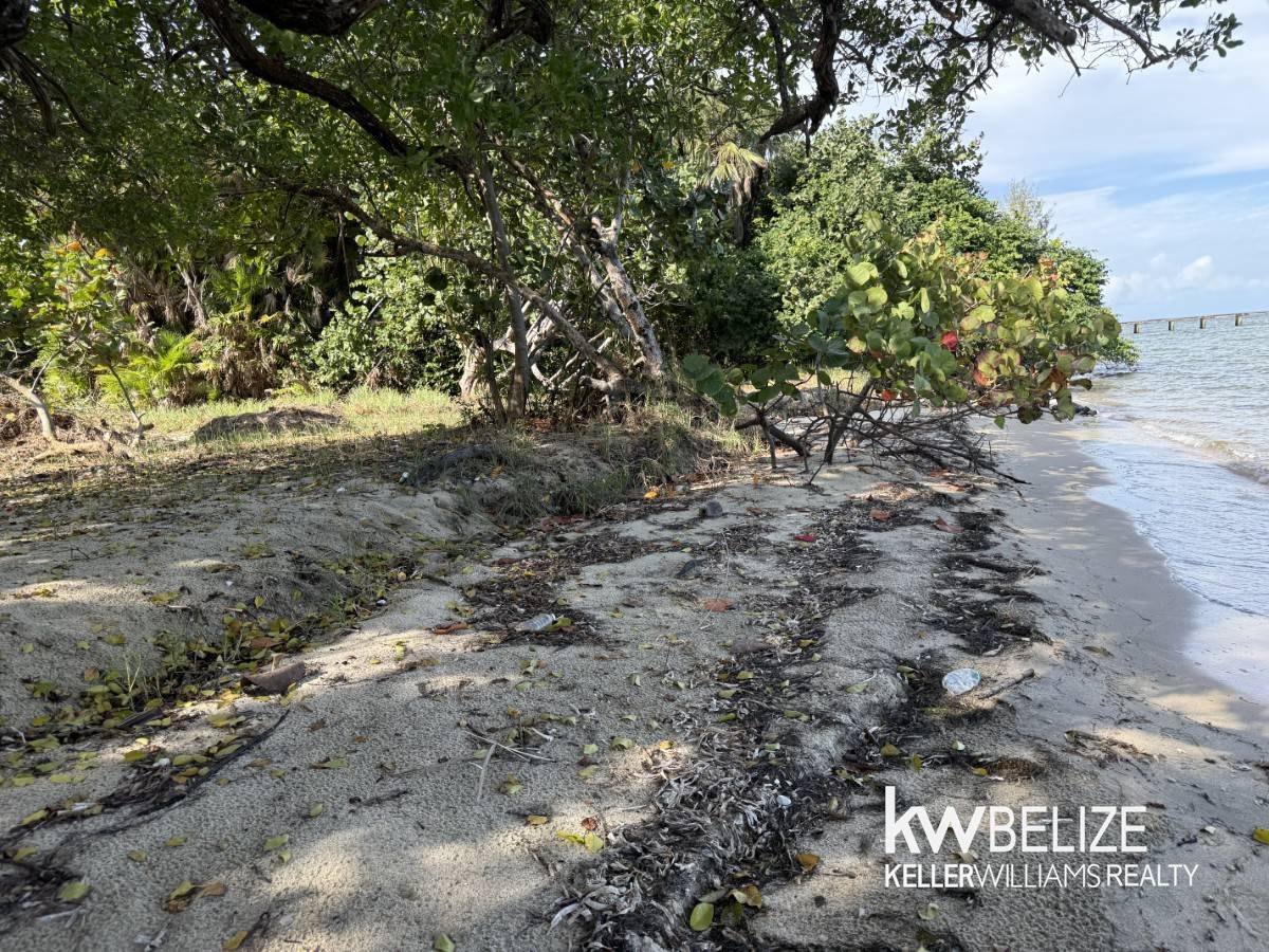 Placencia Road Placencia Stann Creek District
