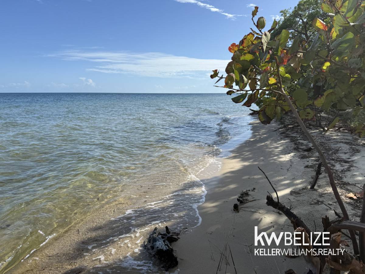 Placencia Road Placencia Stann Creek District