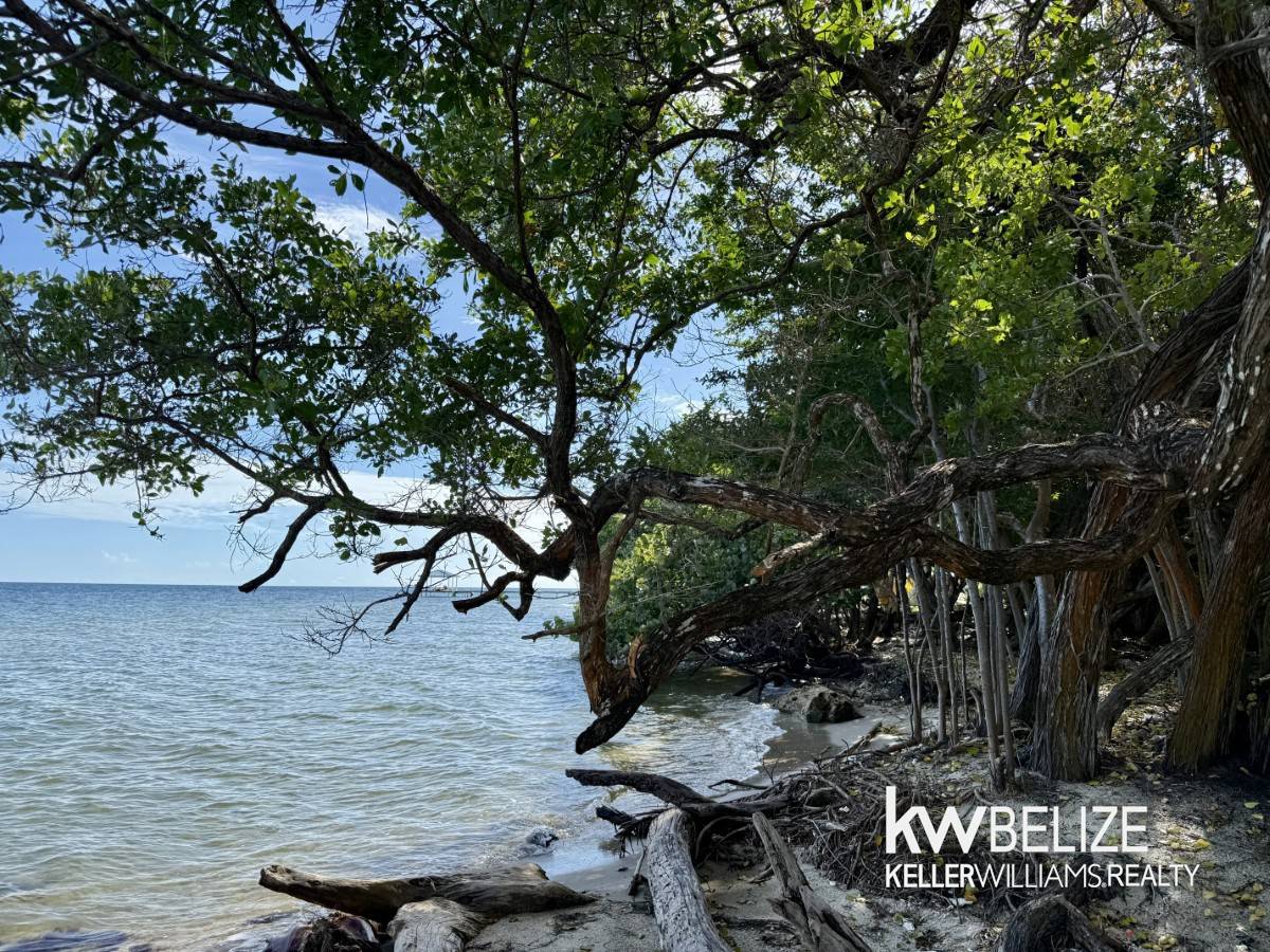 Placencia Road Placencia Stann Creek District